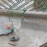 قفس پرنده
