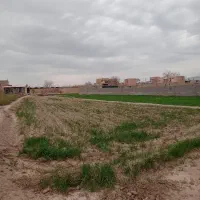 فروش زمین ۸۲۵ متری|فروش زمین و ملک کلنگی|نیشابور, ریوند|دیوار