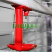 قفس|لوازم جانبی حیوانات|بجنورد, |دیوار