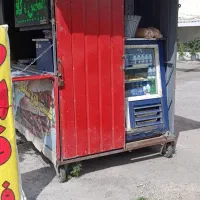 کافه سیار|کافیشاپ و رستوران|فردیس, فرامرزیه|دیوار