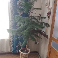 سماور