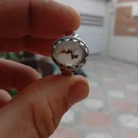 شجر نام علی