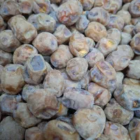 خرما برحی|خوردنی و آشامیدنی|اهواز, بهارستان|دیوار
