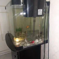 آکواریم با تمام لوازم وماهی