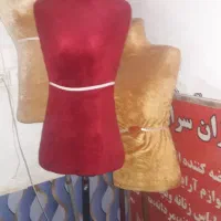 چندعددمانکن سوزن خور پایه دار وبی پایه