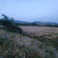 فروش زمین ۳۷۰۰ متری در کنار کارخانه نوئپان آبی|فروش زمین و ملک کلنگی|خلخال, |دیوار