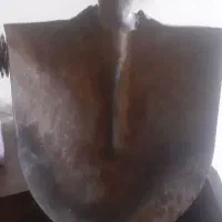 بیل فیل نشان اصل