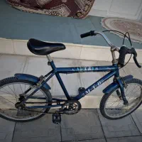 دوچرخه ۲۰ Capitan