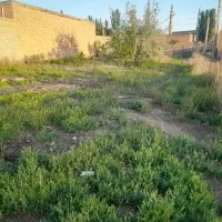 فروش زمین مسکونی|فروش زمین و ملک کلنگی|ملکان, |دیوار