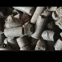 تفاله خشک چغندر