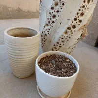 سه عدد گلدون نو و سالم