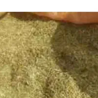 چهار تن کاه خار شتر