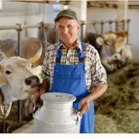 استخدام دامدار