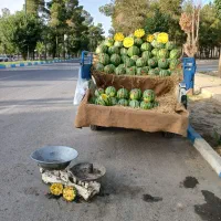 نیروساده