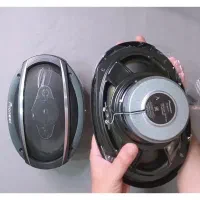 کواکسیال پایونیر مدل 6977s