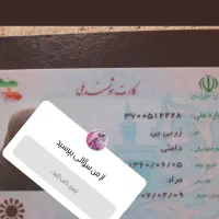 کارت ملی گمشده به اسم زربیبی دامنی