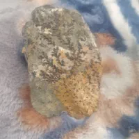 سنگ شجر|بدلیجات|شهرضا, |دیوار