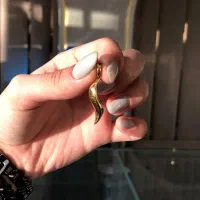 پلاک دم روباه/بدون اجرت/تحویل فوری