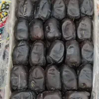 فروش خرما دو ردیف