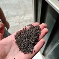 چای  هندی وارداتی آکو