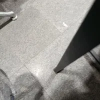 خانم جهت نظافت منزل