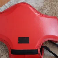 لوازم ورزشی وشو|تجهیزات ورزشی|فردیس, فردیس|دیوار