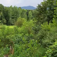 فروش-زمین-مسکونی-750-متری-سنددار