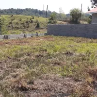 فروش زمین 500 متری تازاباد سیاهکل محصور|فروش زمین و ملک کلنگی|سیاهکل, |دیوار