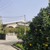 فروش-باغ-در-شمال