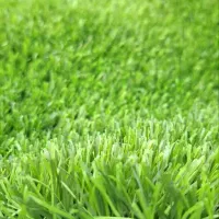 گل و چمن مصنوعی نصب|گل مصنوعی|ساوه, |دیوار