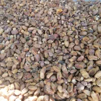 فروش کنگه تمیز|عمدهفروشی|کنار تخته و کمار, |دیوار