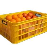 سبد پلاستیکی ۲۰ کیلویی