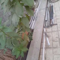 تخته گچ کاری بنایی|لوازم سرویس بهداشتی|نهاوند, |دیوار