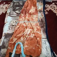 مشک گوسفند