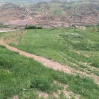 زمین کشاورزی با  و پروانه تاسیس پرورش بوقلمون