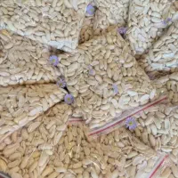 پاک شده زودپزکیلویی ۳۴۰پیازاماده کیلویی ۳۲۰