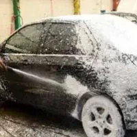 نیروی کار  کارواش