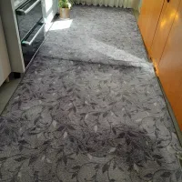 پالاز موکت نو