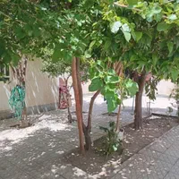 منزل ملکی ۳۱۵ متری|فروش خانه و ویلا|شیراز, بریجستون|دیوار