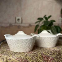 ظرف مرغ و سوپ خوری درب دار