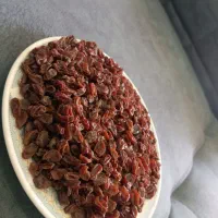 کشمش  اعلا|خوردنی و آشامیدنی|شیراز, بعثت|دیوار