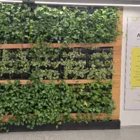 خدمات باغبانی وسمپاشی|خدمات باغبانی و درختکاری|تهران, آهنگ|دیوار