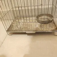 وسایل خوکچه هندی و خرگوش|لوازم جانبی حیوانات|تهران, امیریه|دیوار