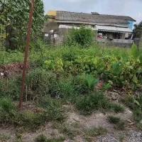 زمین با سند تک برگ مسکونی راسته کنار -گلستان|فروش زمین و ملک کلنگی|خمام, |دیوار