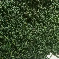 خیارشور|خوردنی و آشامیدنی|تهران, جمال‌زاده|دیوار