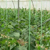 فروش زمین به مساحت ۳۸۰۰۰ متر