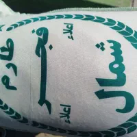 برنج فجر شمال
