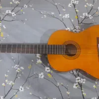 گیتاریاماهاC40