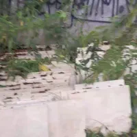 سنگ نما( دره بخاری )