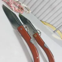 چاقوتاشو|کوهنوردی و کمپینگ|فولادشهر, B2|دیوار